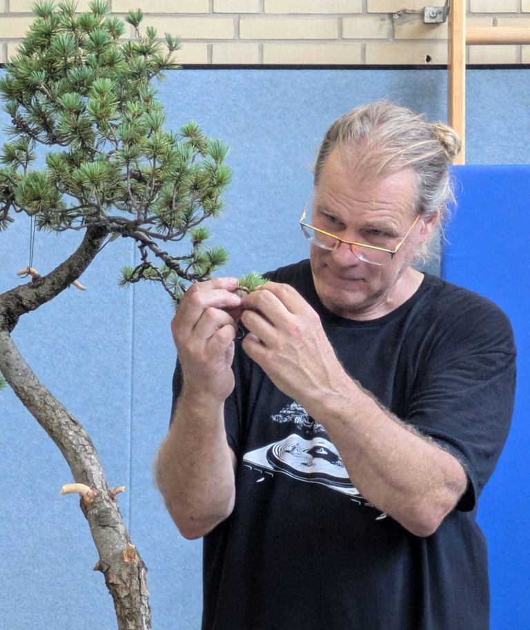 Shohin Workshop