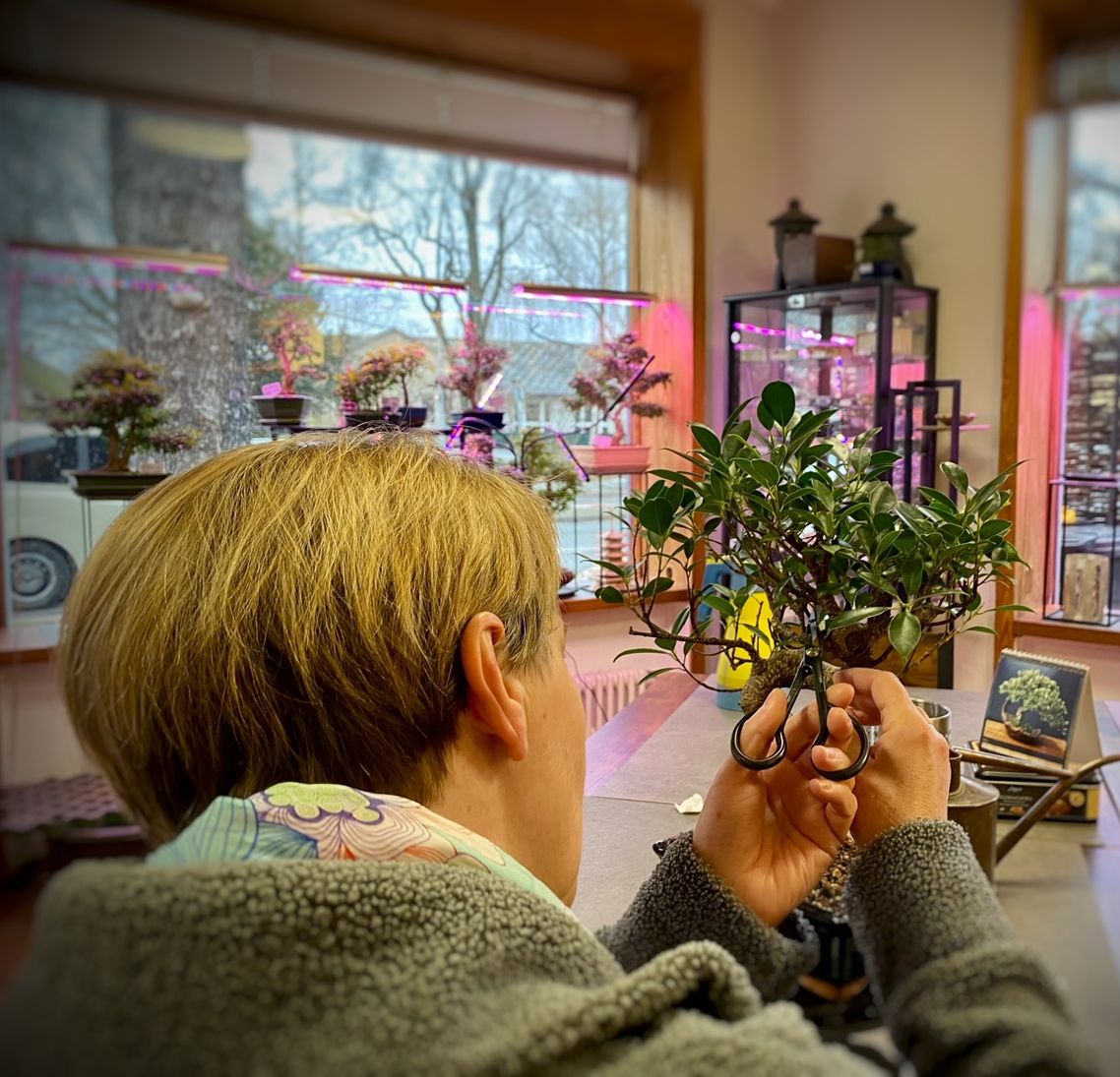 Shohin Workshop