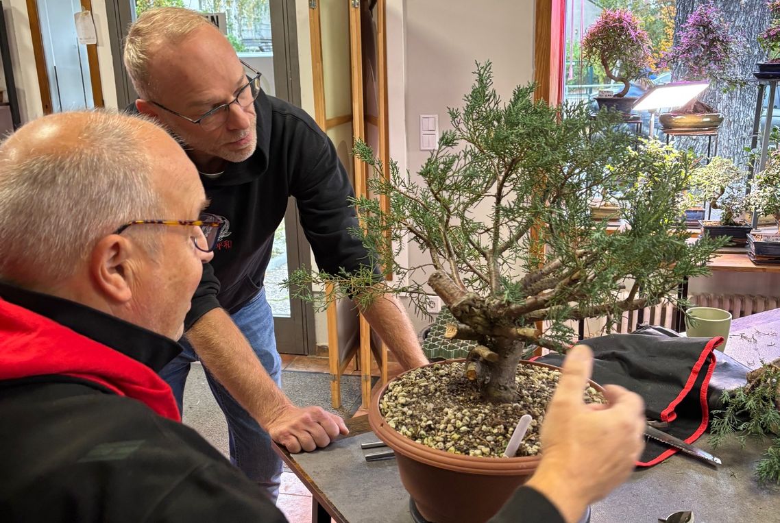Shohin Workshop