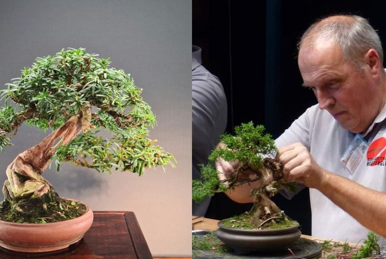 Shohin Workshop