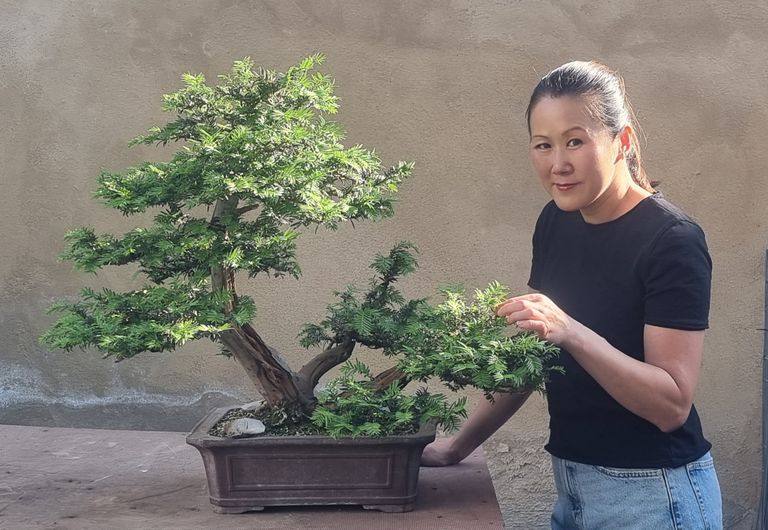 Shohin Workshop