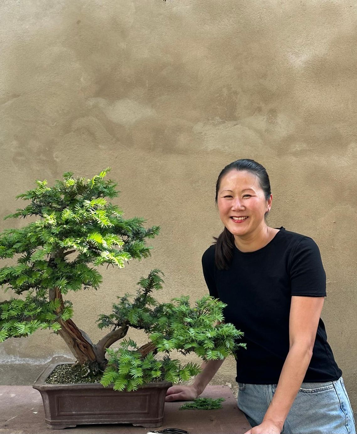 Shohin Workshop